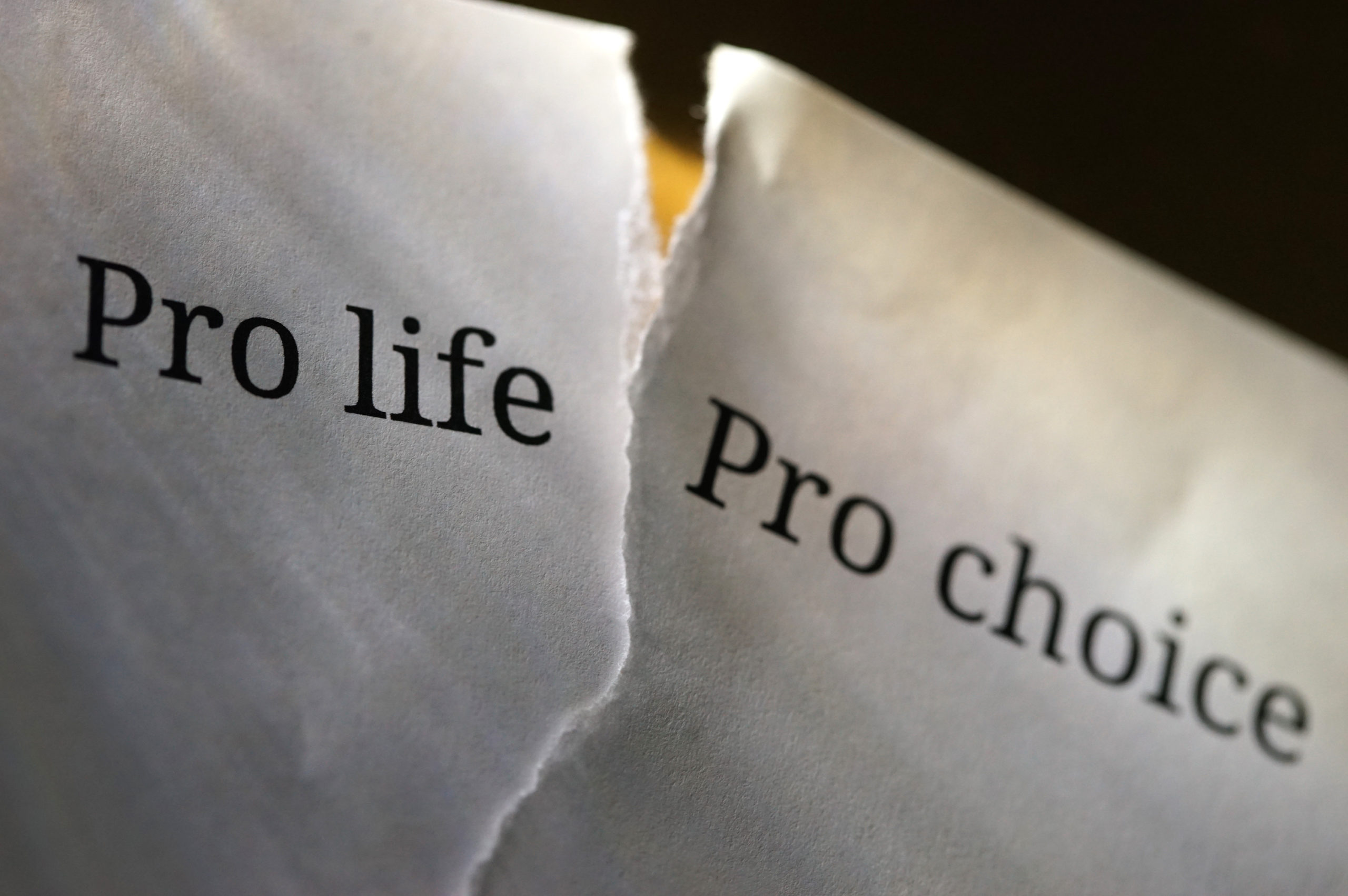Photo of a paper torn in half with the words "pro-life" on one side and "pro-choice" on the other