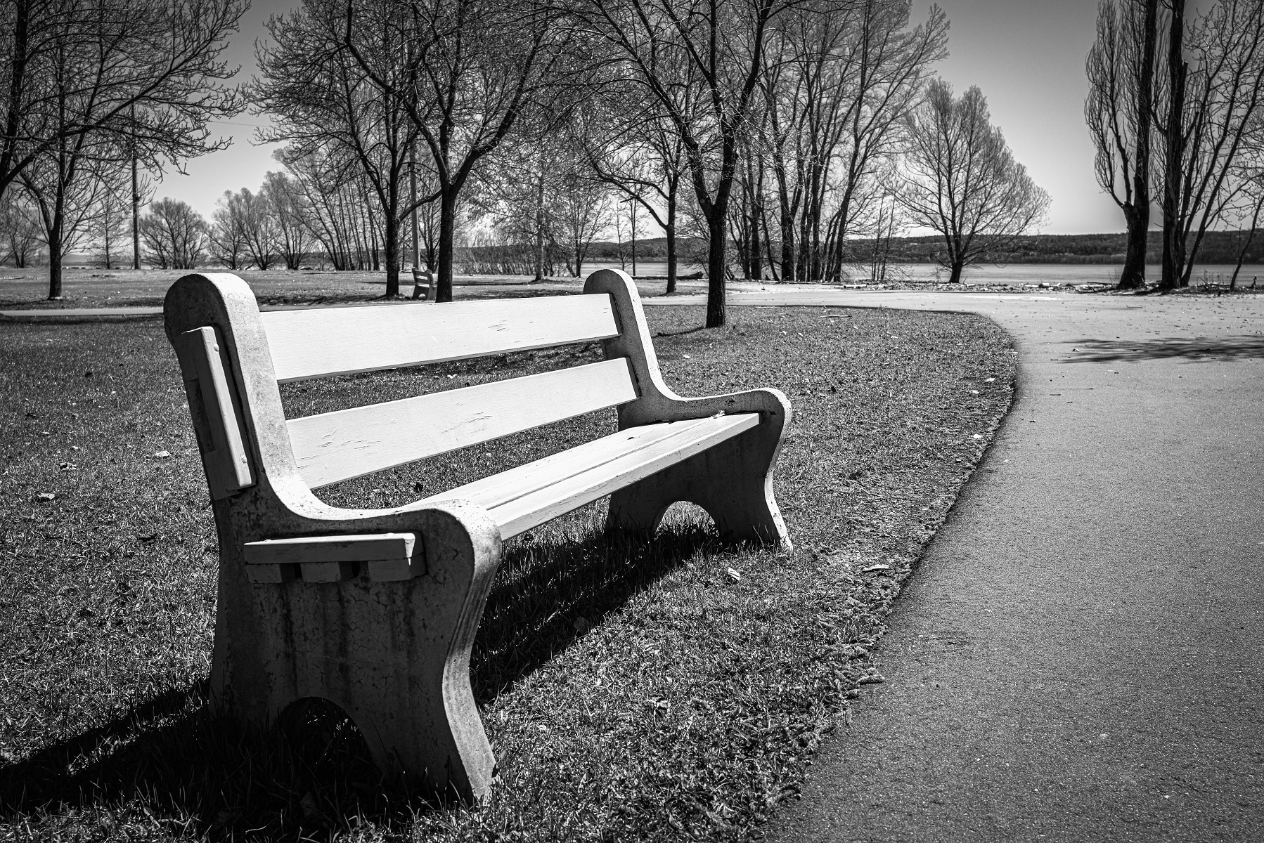 Black and white photograph of an empty park bench next to a paved walkway in early spring