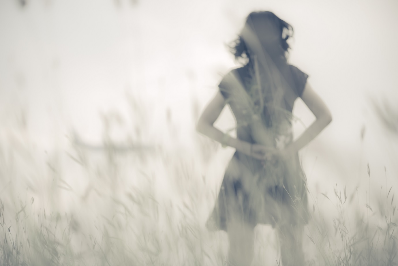 Woman, back turned, in a wheat field